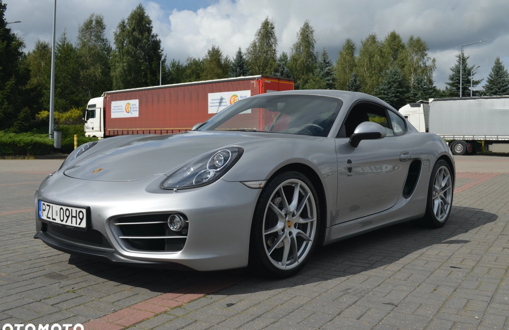 Porsche Cayman cena 219000 przebieg: 107000, rok produkcji 2013 z Jastrowie małe 466
